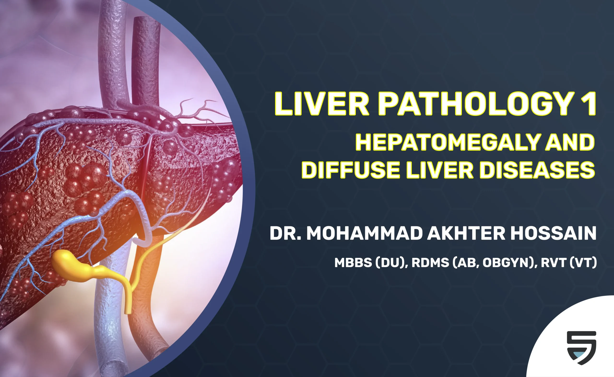 Liver Pathology 1 – Hepatomegaly and Diffuse Liver Diseases