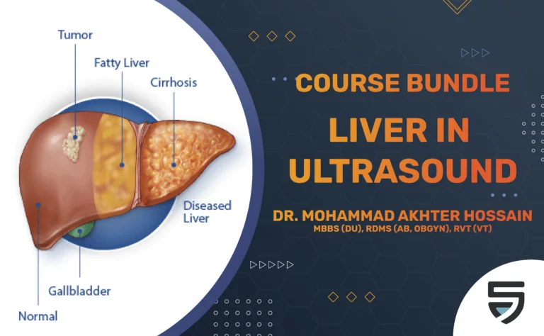 Liver in Ultrasound