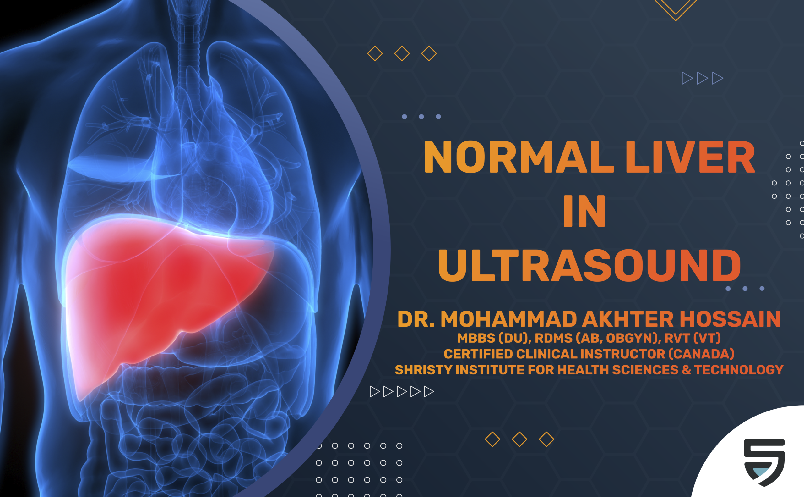 Normal Liver in Ultrasound